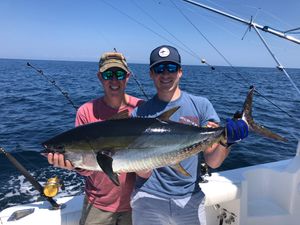 40-lbs yellowfin tuna caught in Montauk, NY